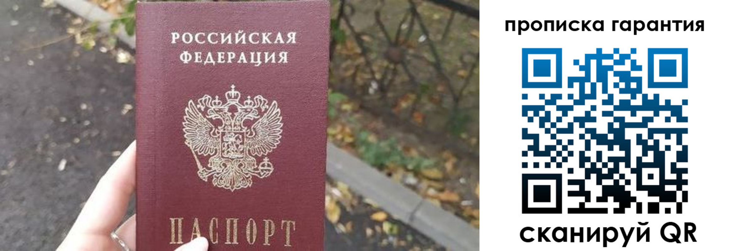 где прописаться в Ртищево